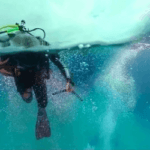 鯊魚海難 VR 360 度浮潛全景影片