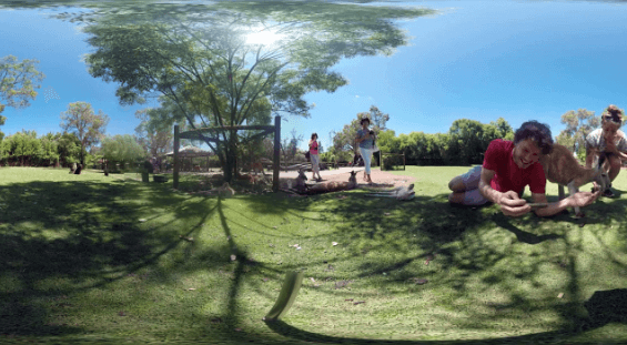 360 度澳大利亞袋鼠 VR 全景影片