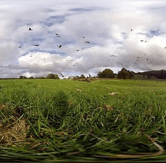 紅鳶鳥 360 度 VR 虛擬現實體驗視頻