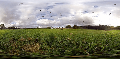 紅風箏鳥 360 度 VR 虛擬現實體驗視頻